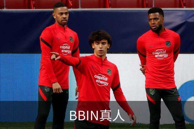 BBIN真人公司简介图片